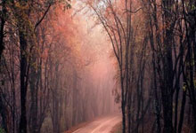 老友相逢!阿扎尔贝尔赛后见面狂笑 皇马球迷怒了.