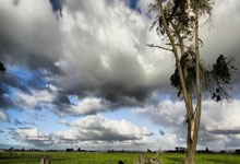 迈阿密网球公开赛郑钦文晋级女单十六强人民日报.